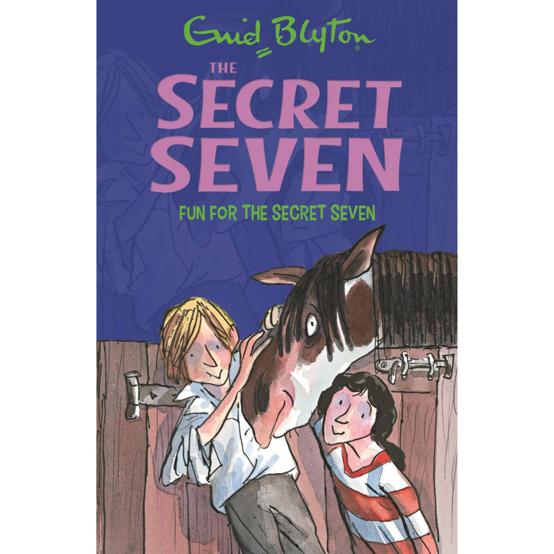 BOOK 15 : FUN FOR THE SECRET SEVEN