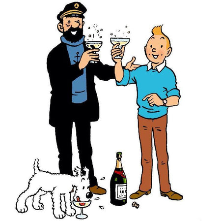 The TINTIN Collection