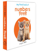 MY FIRST BOOK OF NUMBERS GINTI ENGLISH HINDI
