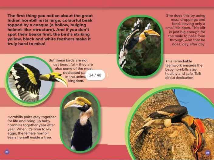 INDIAS MOST UNUSUAL ANIMALS