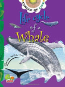 LIFE CYCLE OF A WHALE - Odyssey Online Store