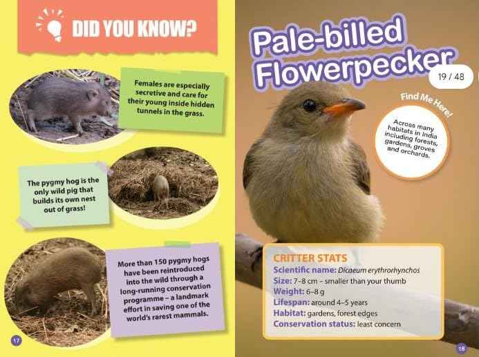 INDIAS TINIEST ANIMALS