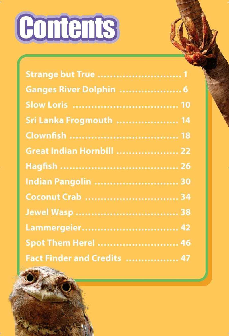 INDIAS MOST UNUSUAL ANIMALS