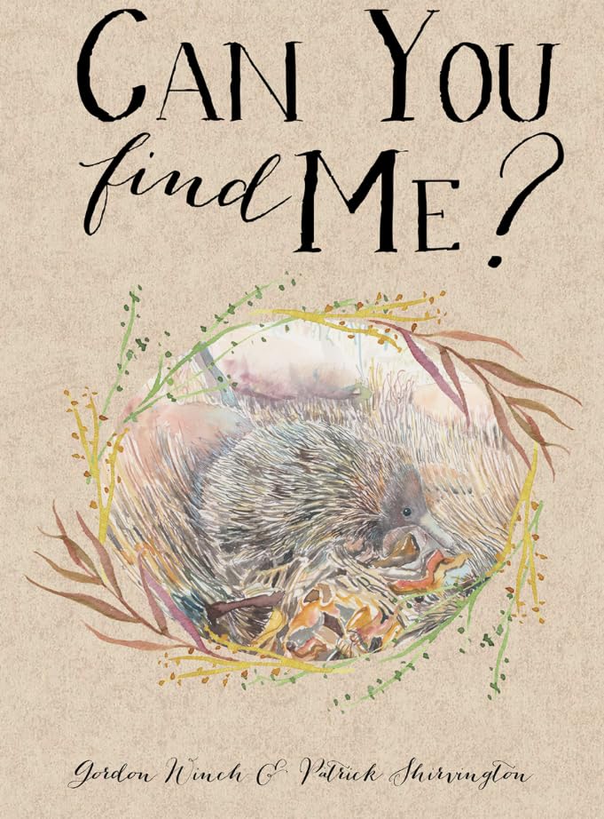 Can You Find Me? - Odyssey Online Store