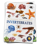 ANIMALS INVERTEBRATES KNOWLEDGE ENCYCLOPEDIA FOR C - Odyssey Online Store