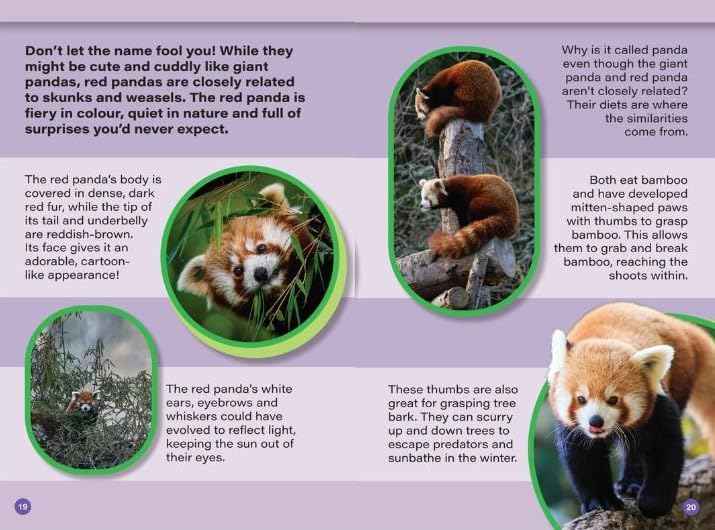 INDIAS MOST BEAUTIFUL ANIMALS