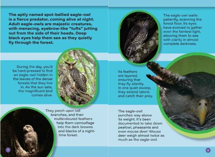 INDIAS COOLEST NOCTURNAL ANIMALS