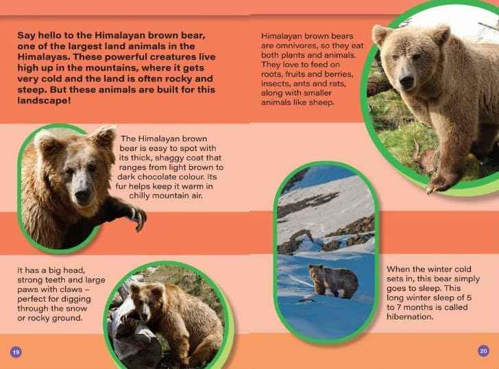 INDIAS BIGGEST ANIMALS