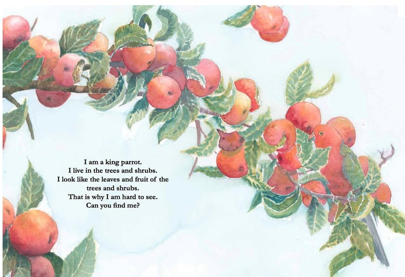 Can You Find Me? - Odyssey Online Store