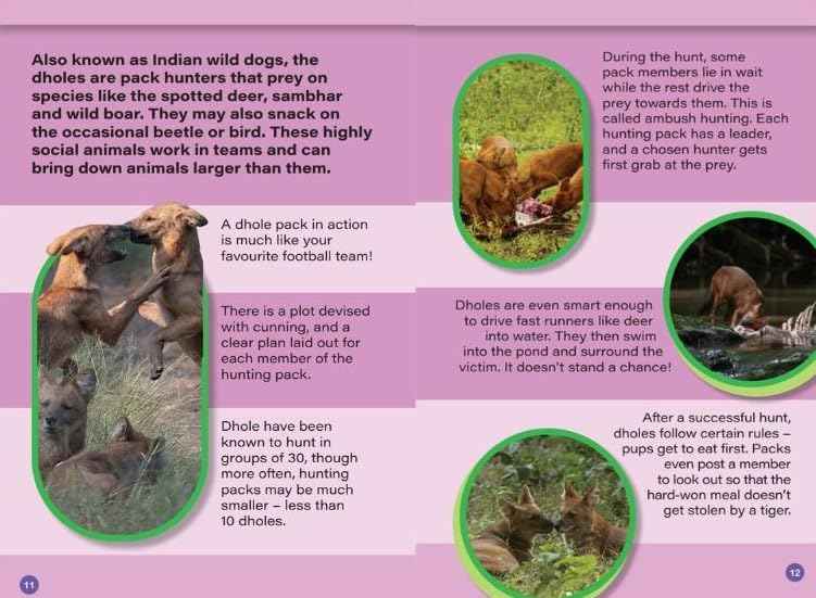 INDIAS TOP PREDATORS