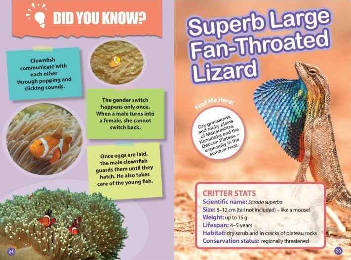 INDIAS MOST UNUSUAL ANIMALS