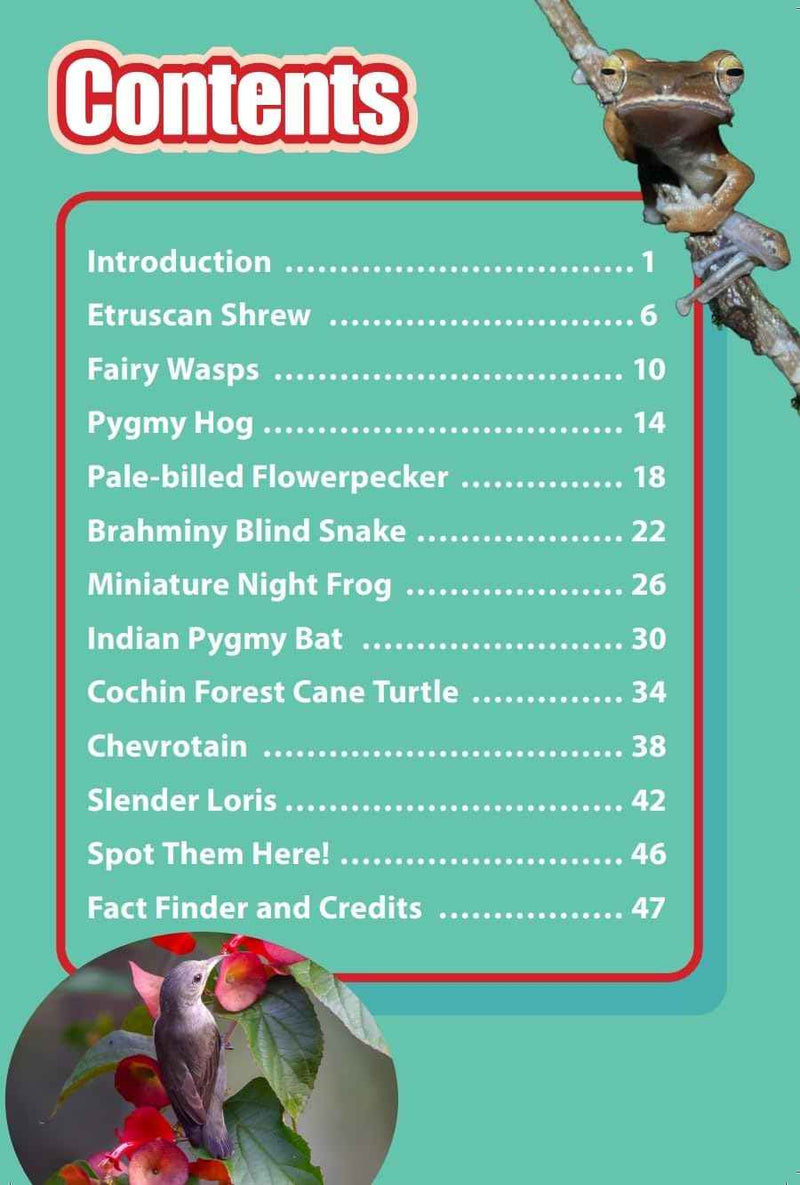 INDIAS TINIEST ANIMALS