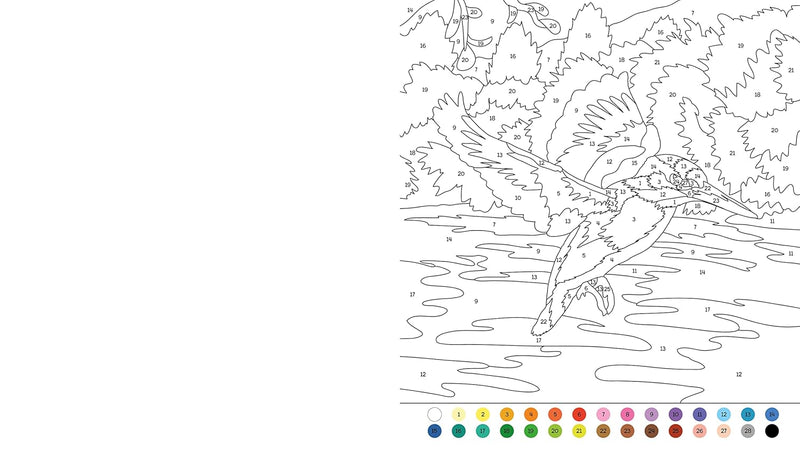 ANIMAL COLOUR BY NUMBER - Odyssey Online Store