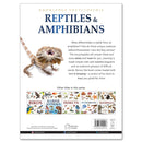 ANIMALS REPTILES AND AMPHIBIANS : KNOWLEDGE ENCYCL - Odyssey Online Store