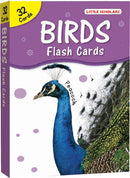 FLASH CARDS BIRDS BIG - Odyssey Online Store