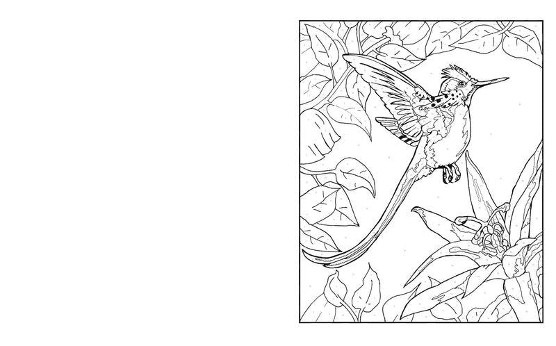 Nature Colour by Numbers - Odyssey Online Store