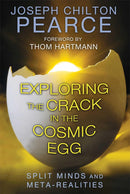 EXPLORING THE CRACK IN THE COSMIC EGG - Odyssey Online Store