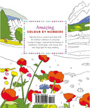Amazing Colour By Numbers - Odyssey Online Store
