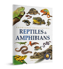 ANIMALS REPTILES AND AMPHIBIANS : KNOWLEDGE ENCYCL - Odyssey Online Store