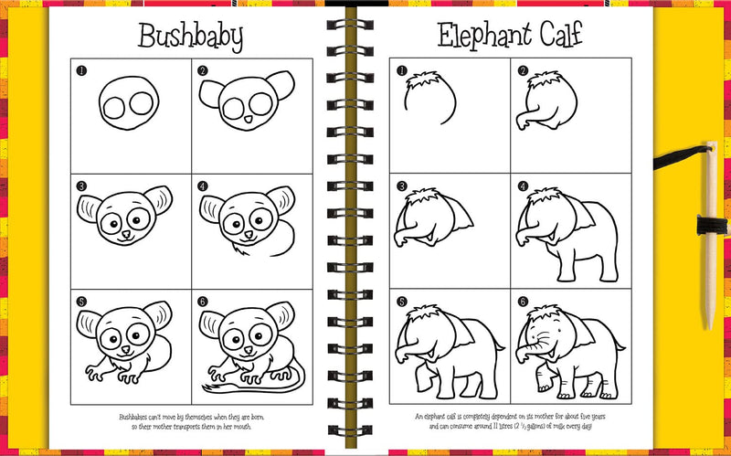 Scratch & Draw Animals - Odyssey Online Store