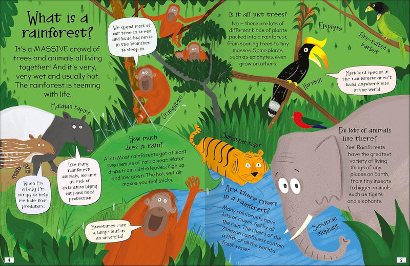 CURIOUS QUESTIONS & ANSWERS ABOUT RAINFORESTS - Odyssey Online Store