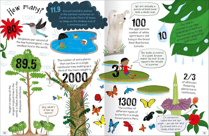 CURIOUS QUESTIONS & ANSWERS ABOUT RAINFORESTS - Odyssey Online Store