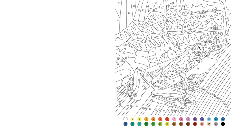 ANIMAL COLOUR BY NUMBER - Odyssey Online Store