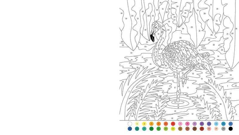 ANIMAL COLOUR BY NUMBER - Odyssey Online Store