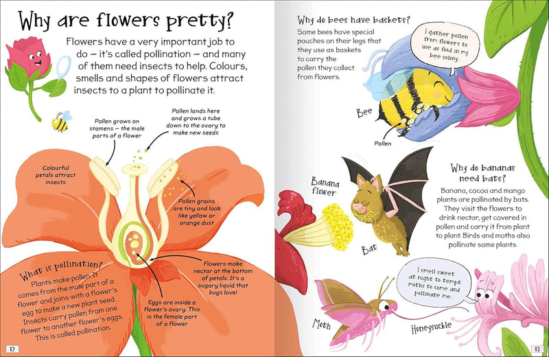 CURIOUS QUESTIONS & ANSWERS ABOUT PLANTS - Odyssey Online Store