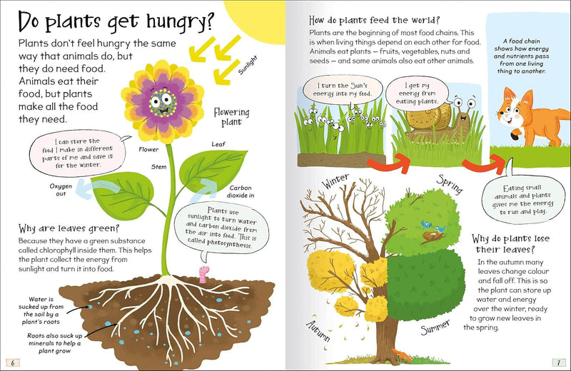 CURIOUS QUESTIONS & ANSWERS ABOUT PLANTS - Odyssey Online Store