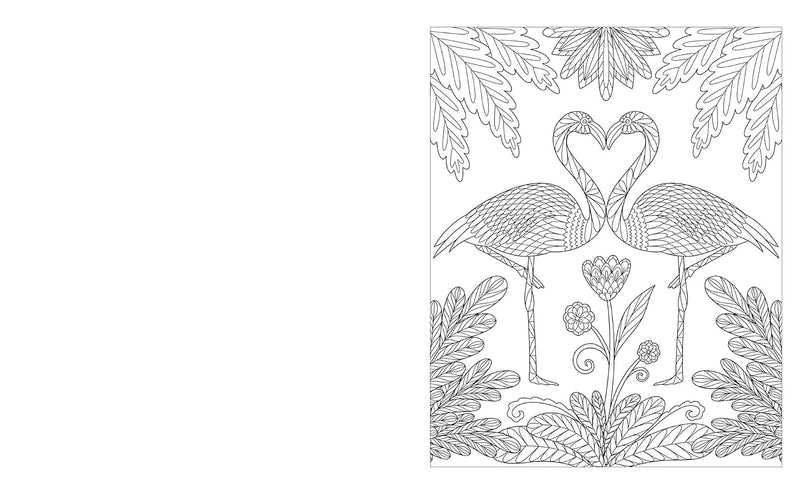 The Kindness Colouring Book - Odyssey Online Store