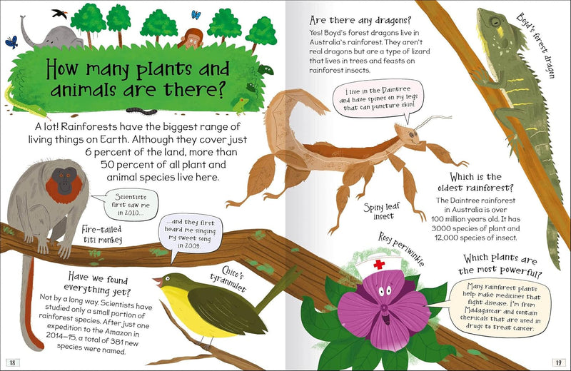 CURIOUS QUESTIONS & ANSWERS ABOUT RAINFORESTS - Odyssey Online Store