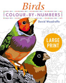 BIRDS COLOUR BY NUMBERS - Odyssey Online Store