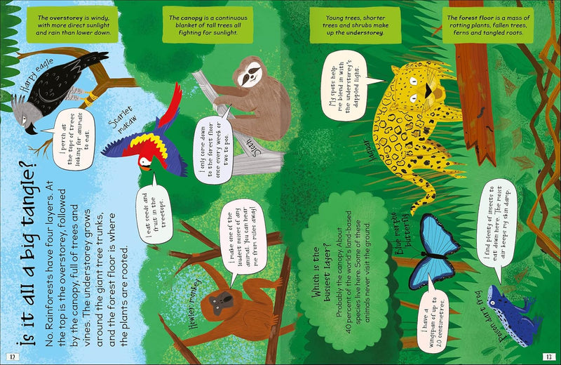 CURIOUS QUESTIONS & ANSWERS ABOUT RAINFORESTS - Odyssey Online Store