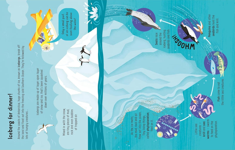 LOTS OF THINGS TO KNOW ABOUT SEAS AND OCEANS