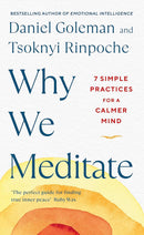 WHY WE MEDITATE - Odyssey Online Store