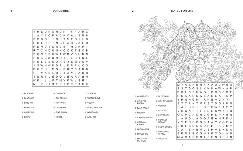 Birdsearch with Colouring - Odyssey Online Store