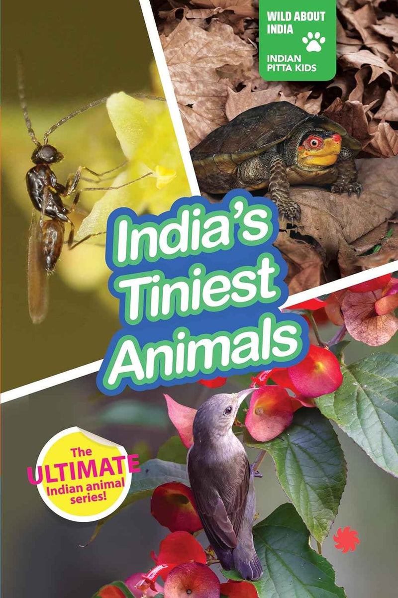 INDIAS TINIEST ANIMALS