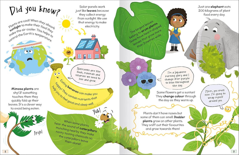 CURIOUS QUESTIONS & ANSWERS ABOUT PLANTS - Odyssey Online Store