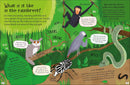 CURIOUS QUESTIONS & ANSWERS ABOUT RAINFORESTS - Odyssey Online Store