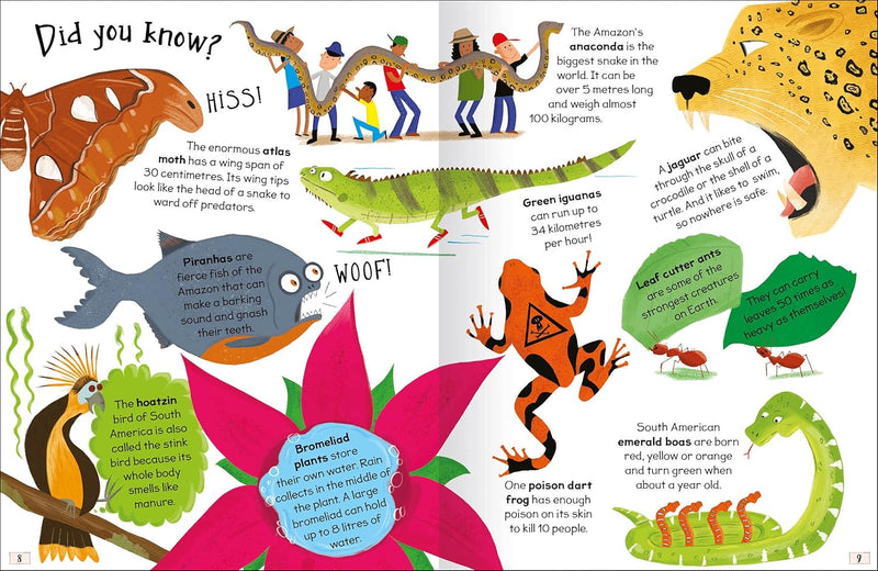 CURIOUS QUESTIONS & ANSWERS ABOUT RAINFORESTS - Odyssey Online Store