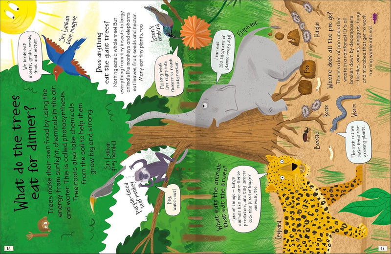 CURIOUS QUESTIONS & ANSWERS ABOUT RAINFORESTS - Odyssey Online Store