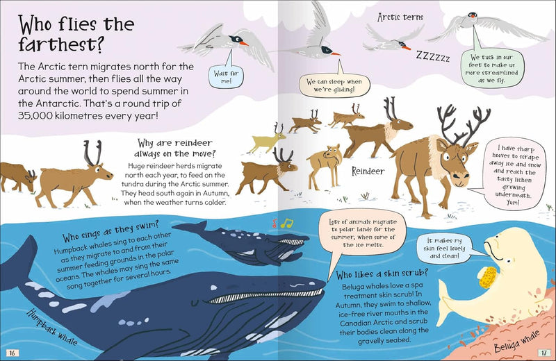 CURIOUS QUESTIONS & ANSWERS ABOUT POLAR LANDS - Odyssey Online Store