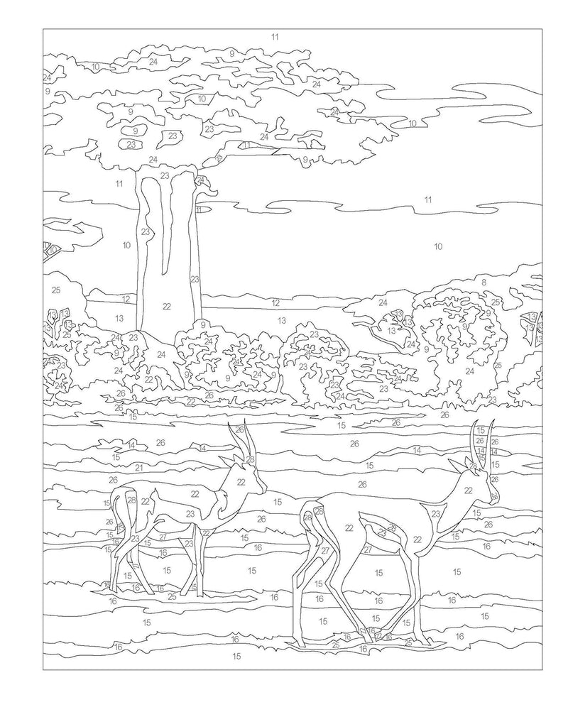 Amazing Colour By Numbers - Odyssey Online Store