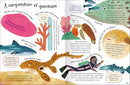 CURIOUS QUESTIONS & ANSWERS ABOUT CORAL REEFS - Odyssey Online Store