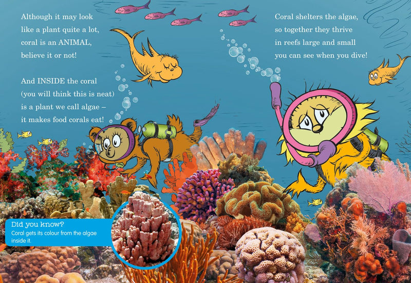 WHAT HUMMING FISH WISH