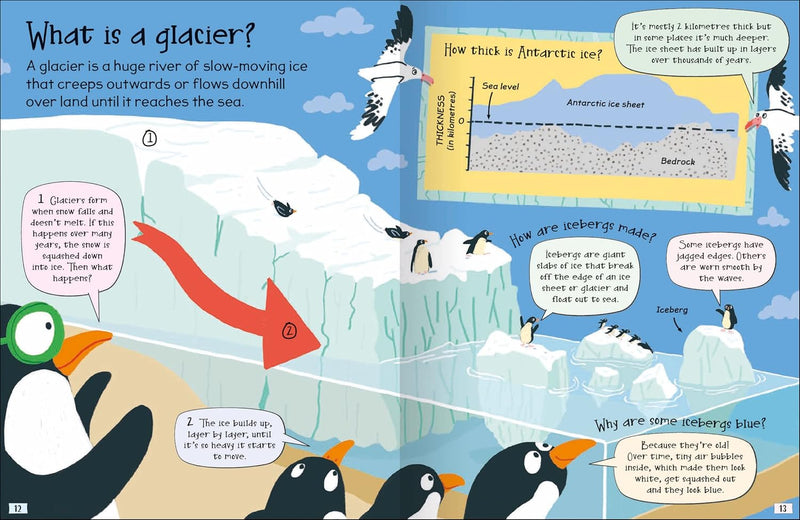 CURIOUS QUESTIONS & ANSWERS ABOUT POLAR LANDS - Odyssey Online Store