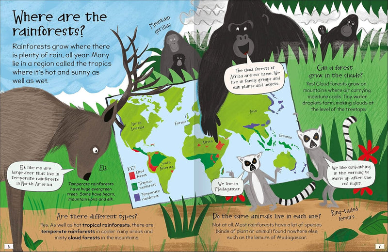 CURIOUS QUESTIONS & ANSWERS ABOUT RAINFORESTS - Odyssey Online Store