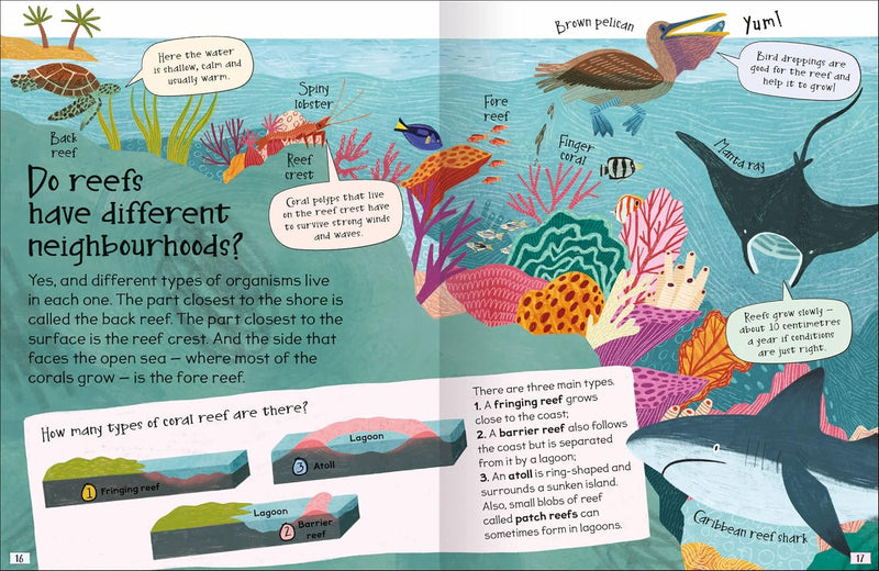 CURIOUS QUESTIONS & ANSWERS ABOUT CORAL REEFS - Odyssey Online Store