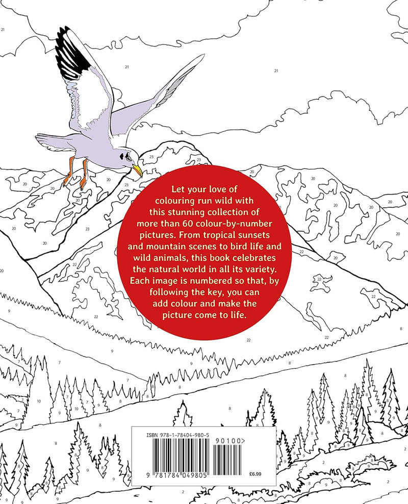 Nature Colour by Numbers - Odyssey Online Store